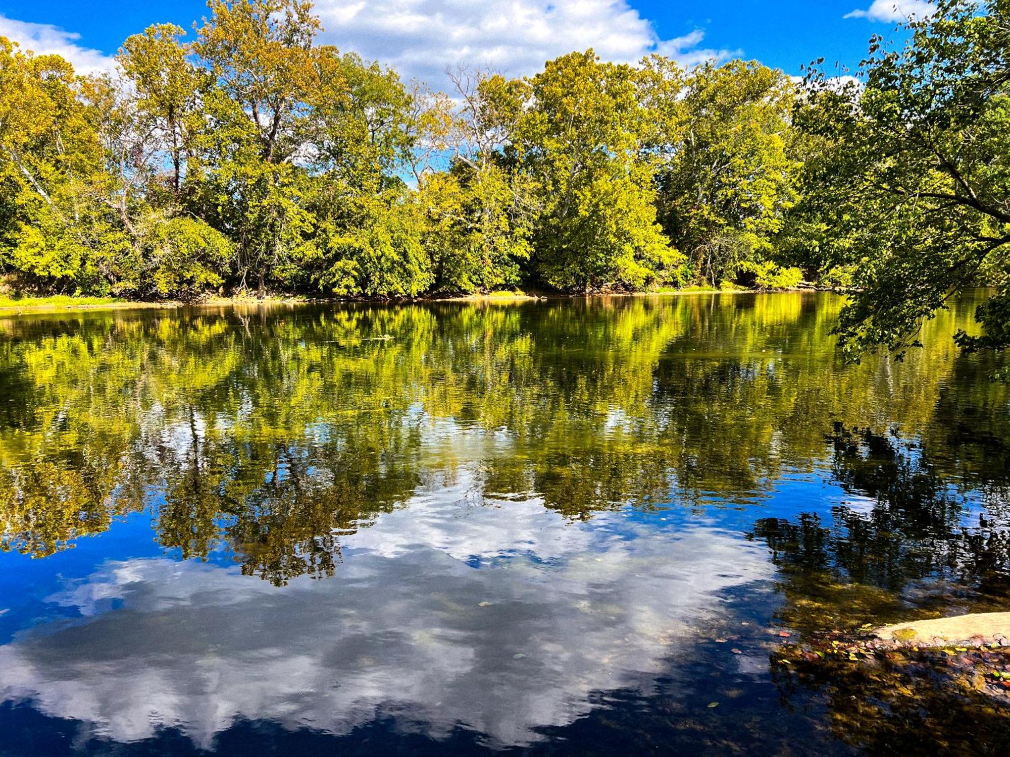 Luray Rv Resort On Shenandoah River 外观 照片