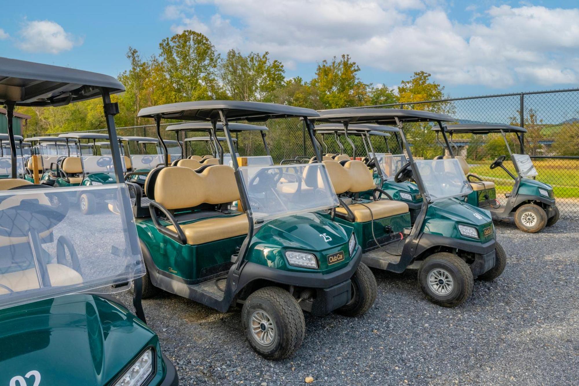 Luray Rv Resort On Shenandoah River 外观 照片